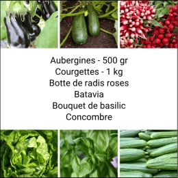 Panier MINI Tout Légumes