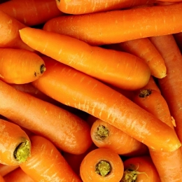 Cagette de carottes