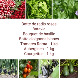 Panier MIDI Tout Légumes