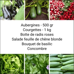 Panier MINI Tout Légumes