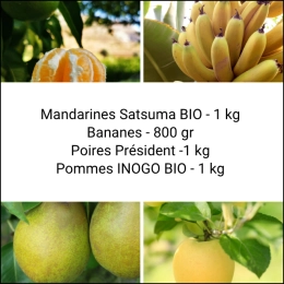 Panier Tout Fruits