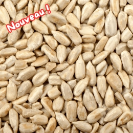 Graines de tournesol BIO