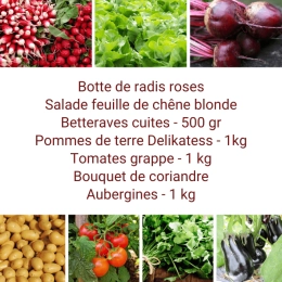 Panier MIDI Tout Légumes