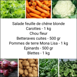 Panier MIDI Tout Légumes