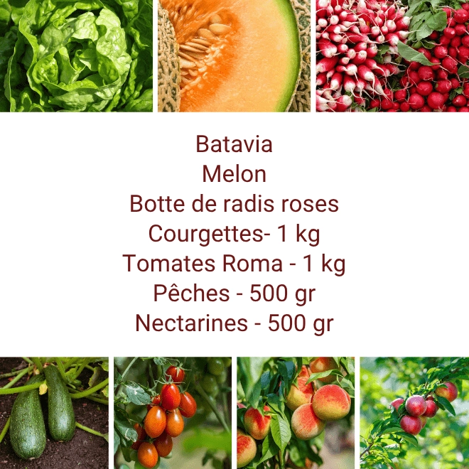 Panier MIDI Fruits & Légumes
