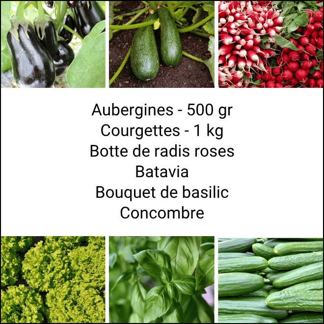 Panier MINI Tout Légumes