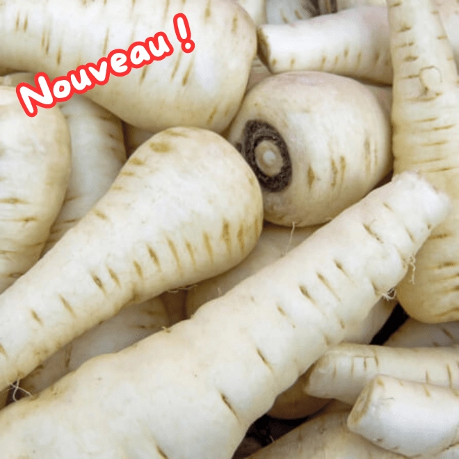 Panais