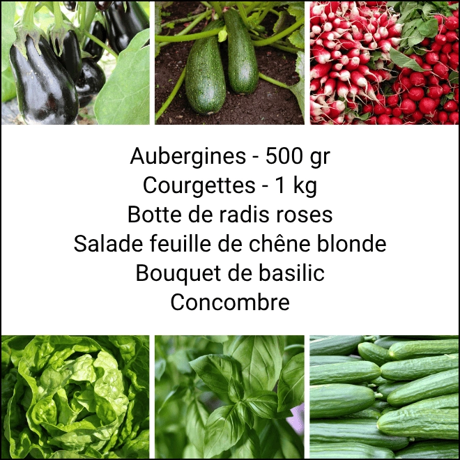 Panier MINI Tout Légumes
