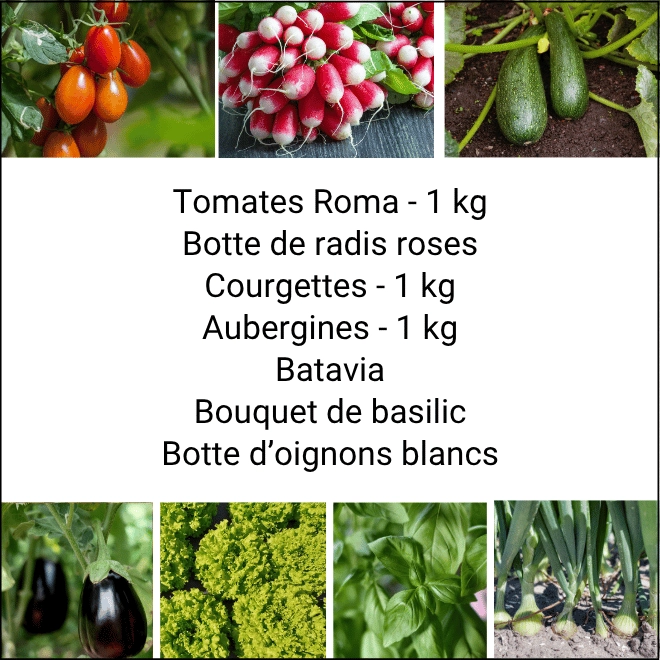 Panier MIDI Tout Légumes