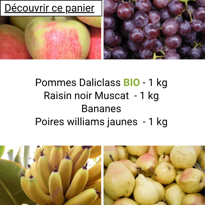 Panier tout Fruits