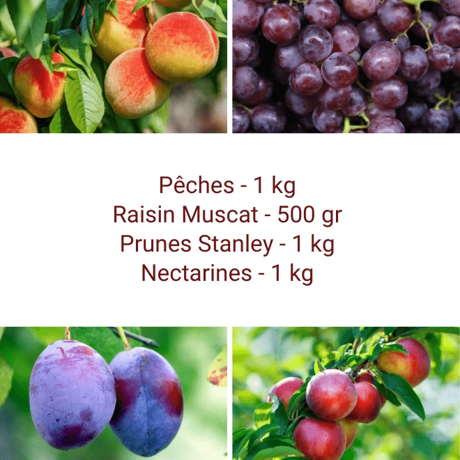 Panier Tout Fruits
