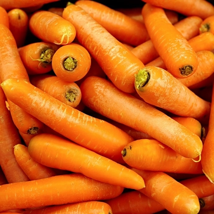Cagette de carottes
