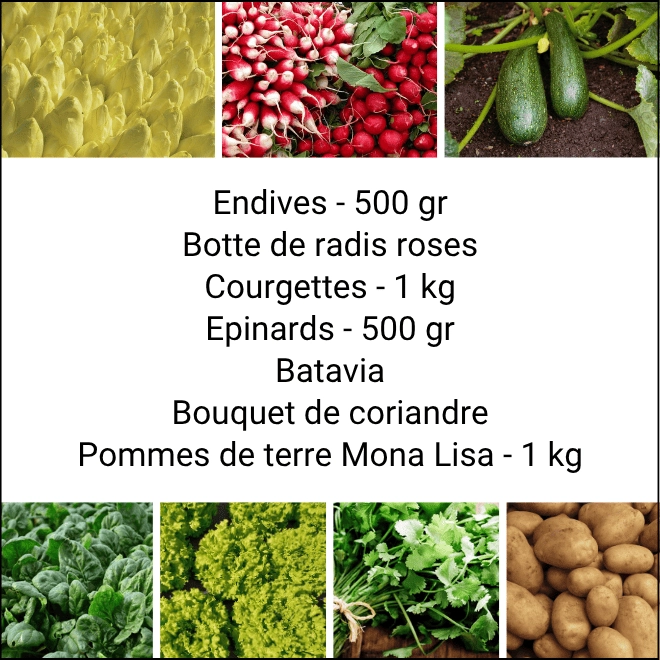 Panier MIDI Tout Légumes