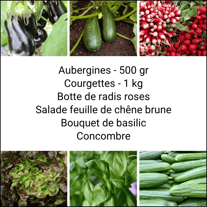 Panier MINI Tout Légumes