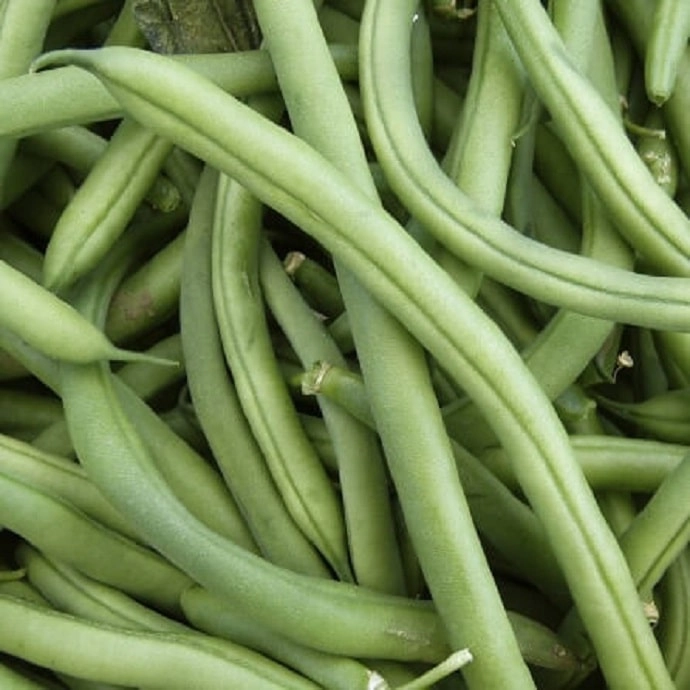 Haricots verts machine