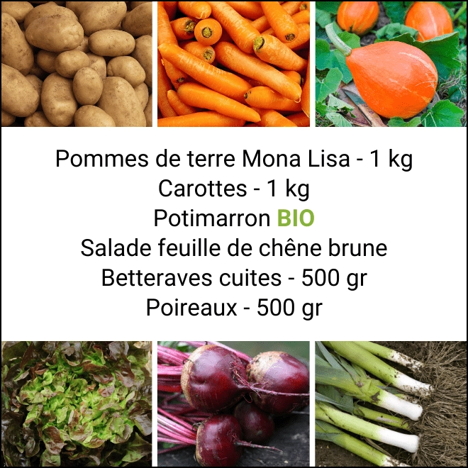 Panier MINI Tout Légumes