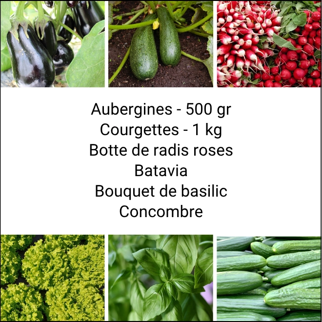 Panier MINI Tout Légumes