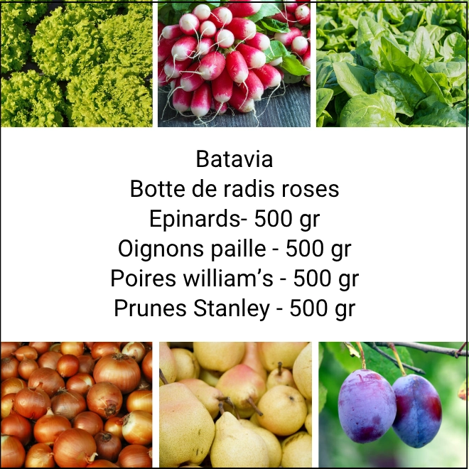 Panier MINI Fruits & Légumes