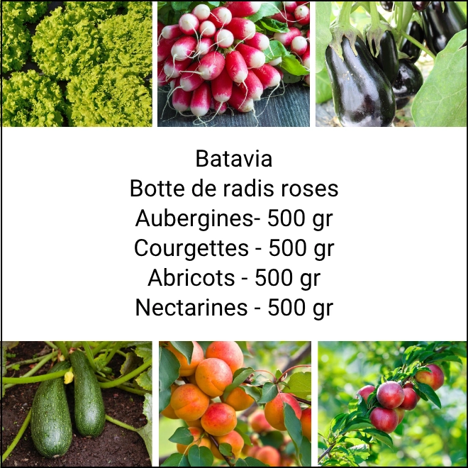 Panier MINI Fruits & Légumes