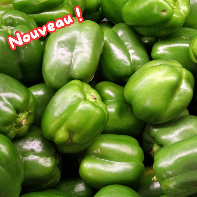 Poivrons verts