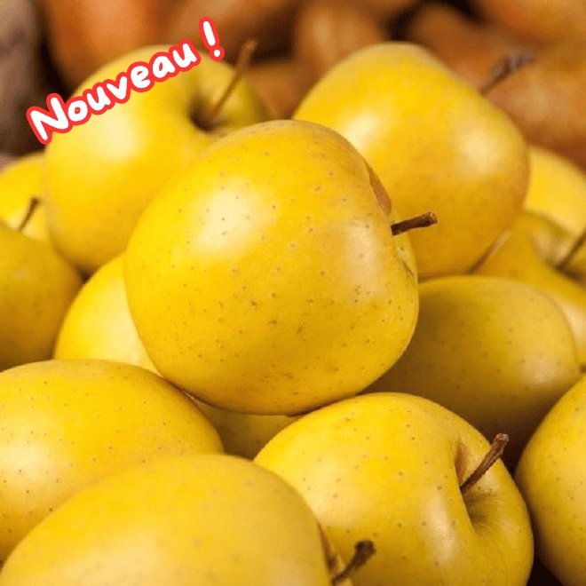 Cagette de pommes Golden