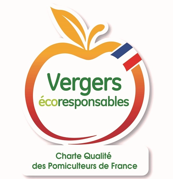 Cagette de pommes Chanteclerc