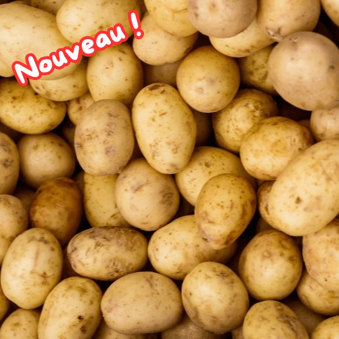 Pommes de terre Marabel BIO (chair tendre)