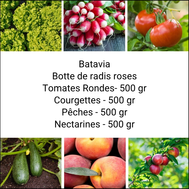 Panier MINI Fruits & Légumes