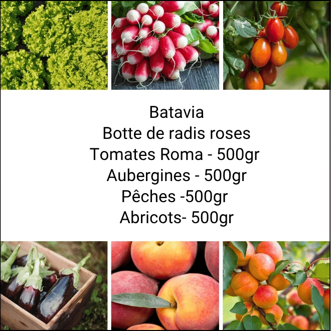 Panier MINI Fruits & Légumes