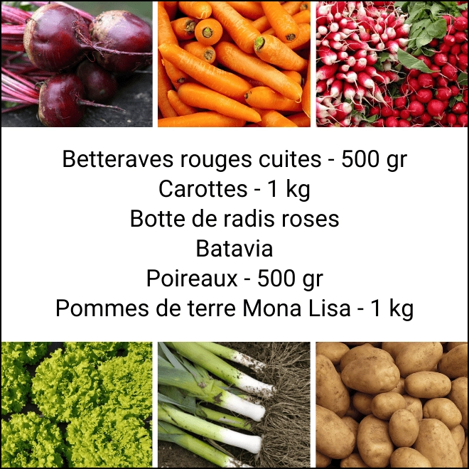 Panier MINI Tout Légumes