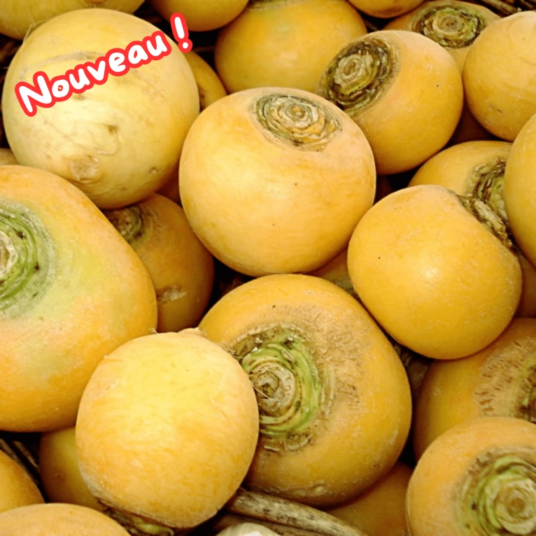 Cagette de navets boule d'or