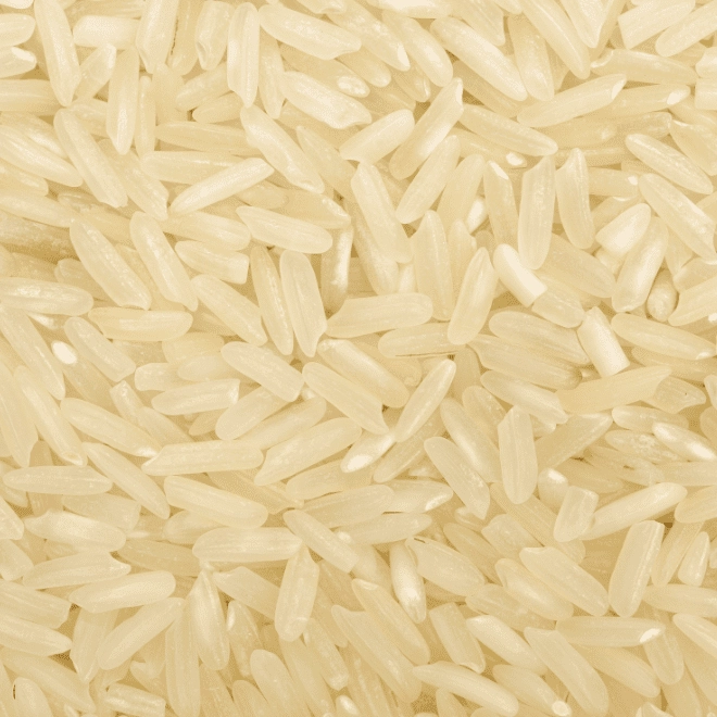 Riz long de Camargue IGP BIO étuvé