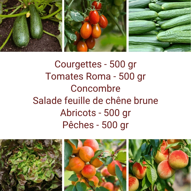 Panier MINI Fruits & Légumes