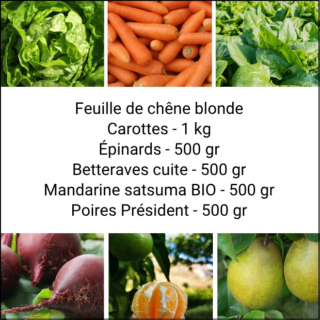Panier MINI Fruits & Légumes