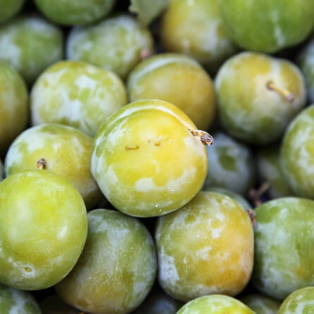 Cagette de Prunes Reine Claude de Bavay