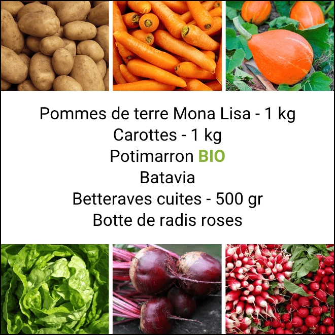 Panier MINI Tout Légumes