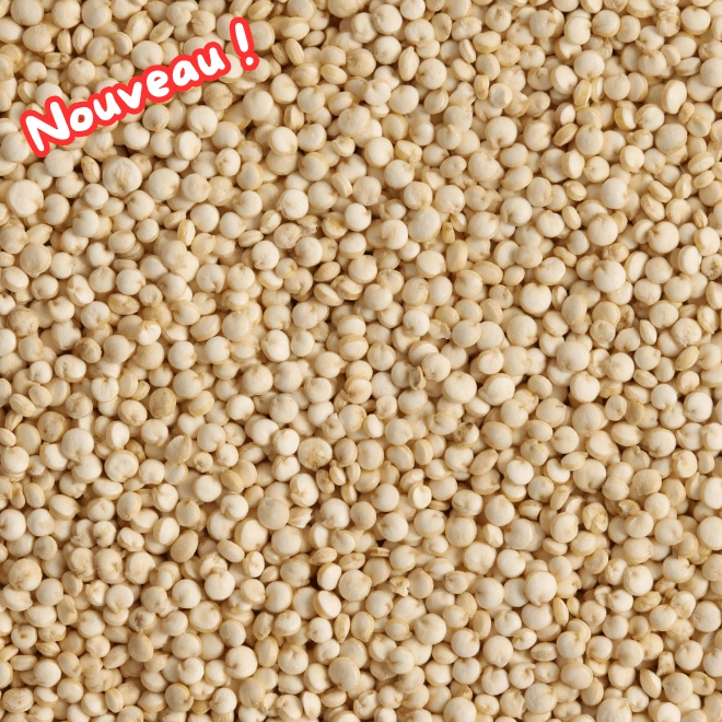 Quinoa blanc