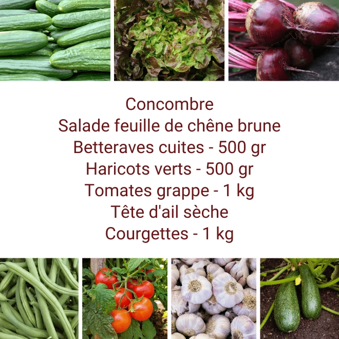 Panier MIDI Tout Légumes