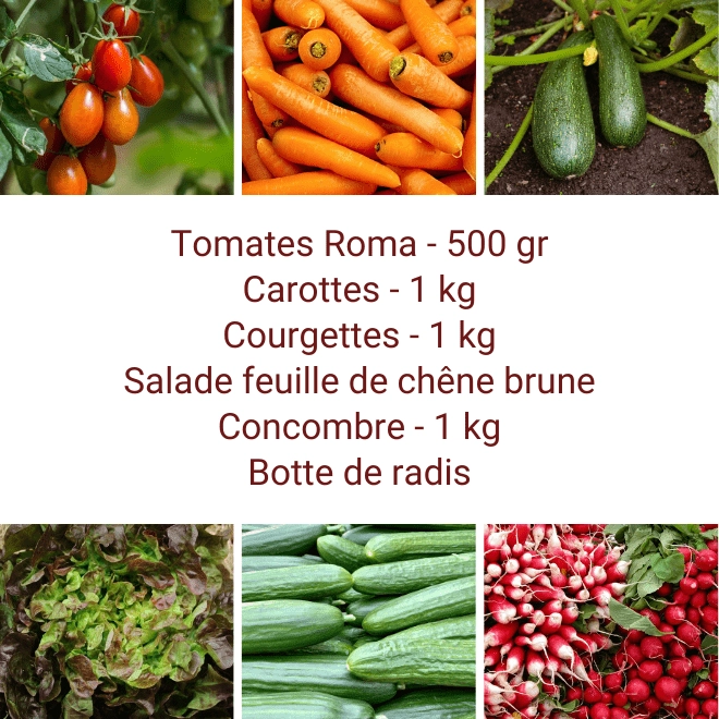 Panier MINI Tout Légumes