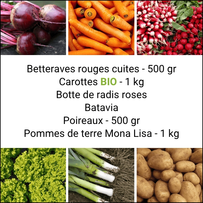 Panier MINI Tout Légumes