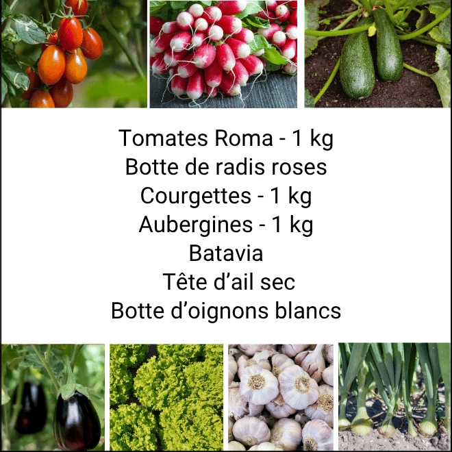 Panier MIDI Tout Légumes