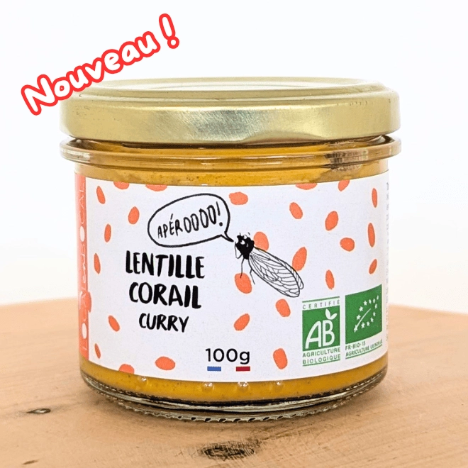 Tartinade lentille corail, patate douce et curry BIO