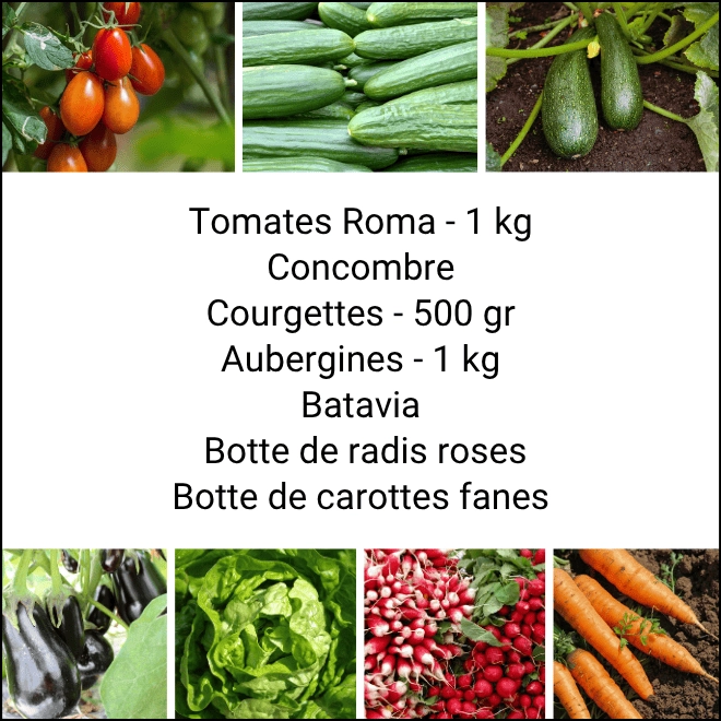 Panier MIDI Tout Légumes