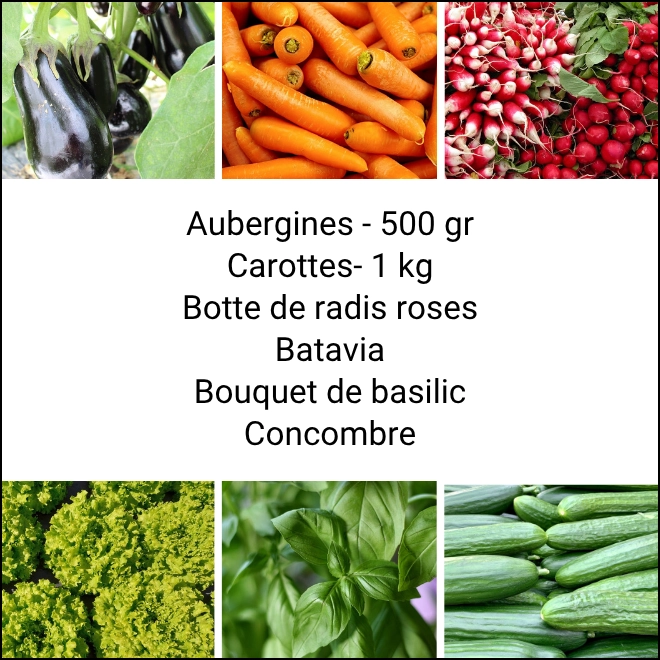 Panier MINI Tout Légumes