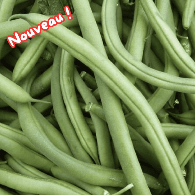 Cagette de haricots verts