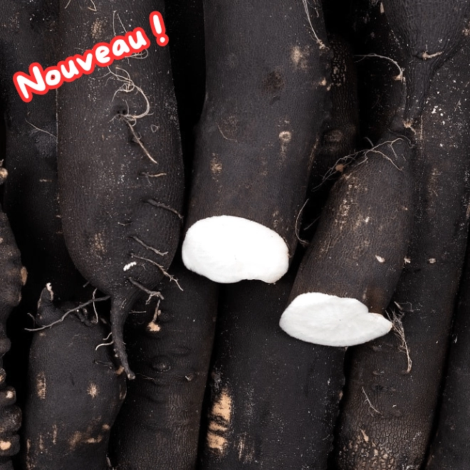 Cagette de radis noirs