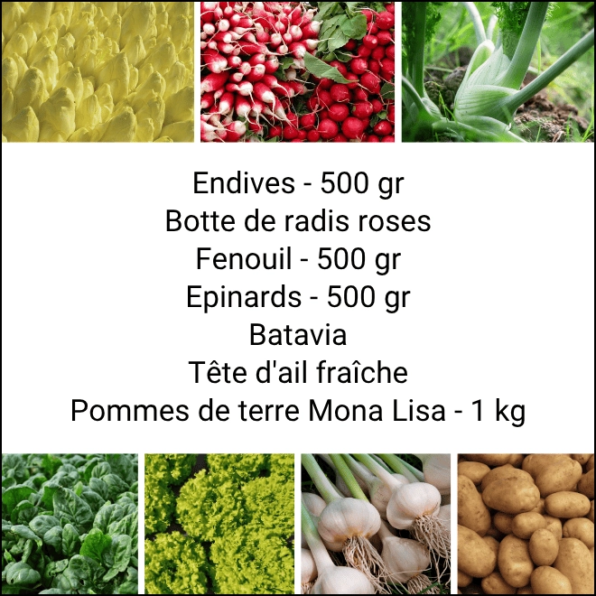 Panier MIDI Tout Légumes