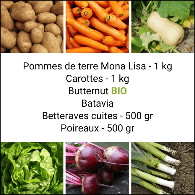 Panier MINI Tout Légumes