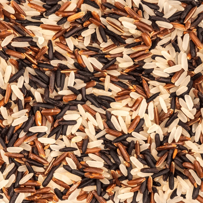 Riz long Triade de Camargue IGP