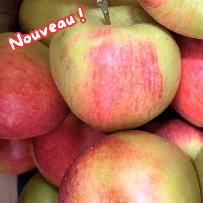 Pomme Daliclass BIO